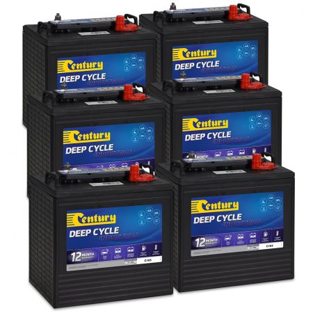 Century Set of 6 x C105 Golf Cart Batteries 36V