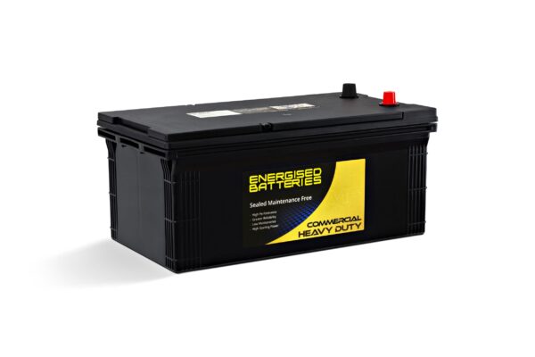 Energised MF Truck Battery Euro DEL-N200EU (N200EN)