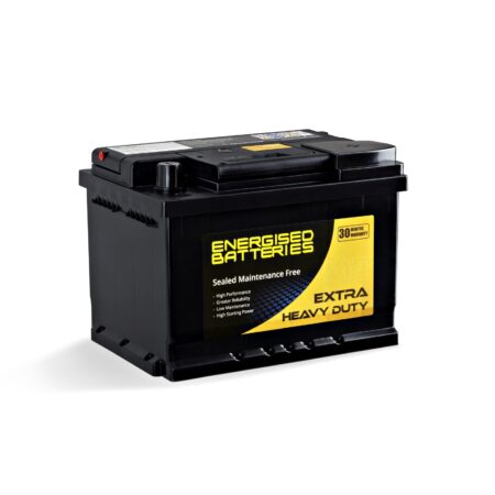 Energised MF Battery DEL-N55