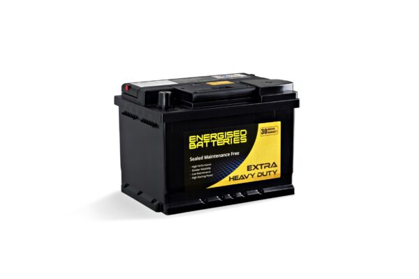 Energised MF Battery DEL-N55