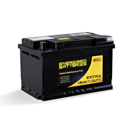 Energised MF Battery DEL-N66 (E56318)