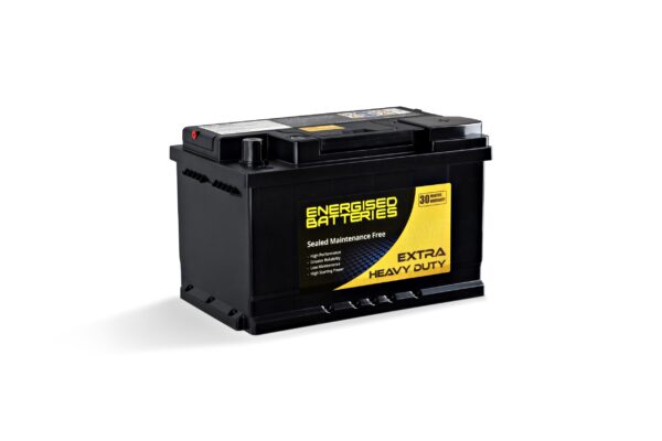 Energised MF Battery DEL-N66 (E56318)