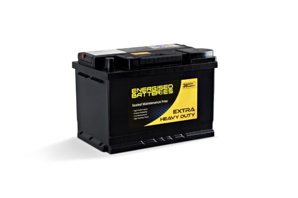 Energised MF Battery DEL-N66H (E56638)