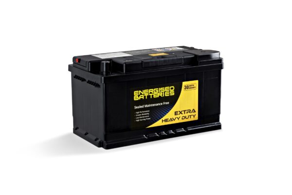 Energised MF Battery DEL-N77 (E57539)