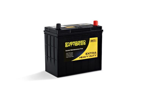 Energised MF Battery DEL-NS60L (E46B24L)