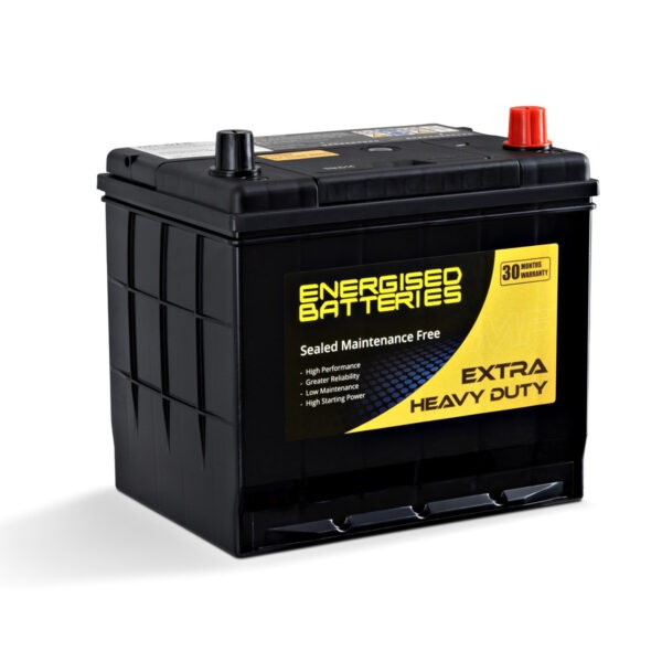 Energised MF Battery DEL-D23L