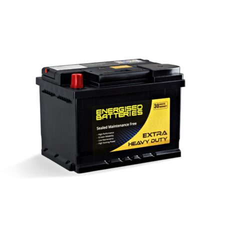 Energised MF Battery DEL-N66R (E56319)