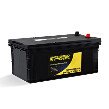 Energised MF Truck Battery DEL-N94