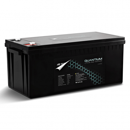 Quantiumâ„¢ 24V 100Ah Lithium Iron Battery Q-LBS24100