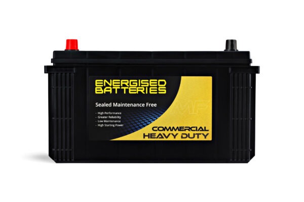 Energised MF Truck Battery DEL-N100 (KN100) - Image 2