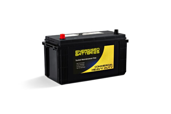 Energised MF Truck Battery DEL-N100 (KN100)