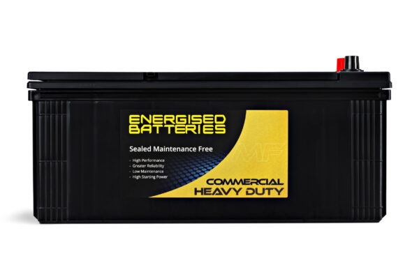Energised MF Truck Battery DEL-N120 (KN120) - Image 2