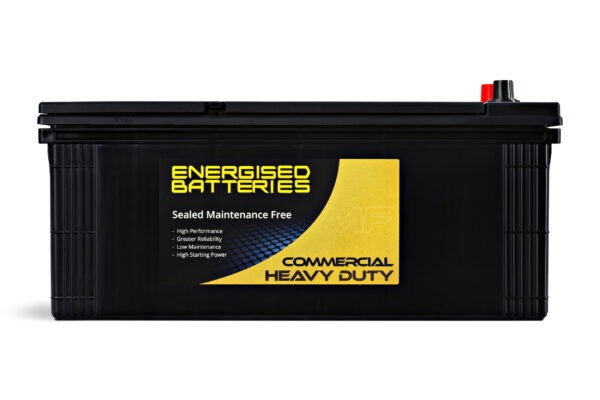 Energised MF Truck Battery Euro DEL-N200EU (N200EN) - Image 2