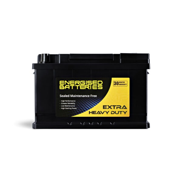 Energised MF Battery DEL-N66 (E56318) - Image 2