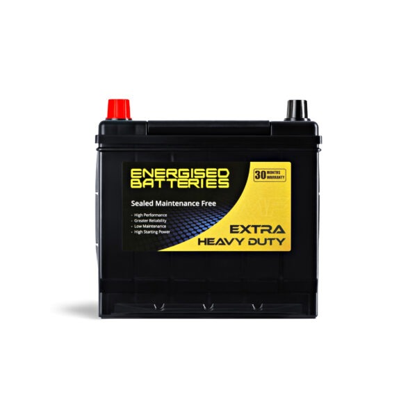 Energised MF Battery DEL-NS60RS (E46B24RS) - Image 2