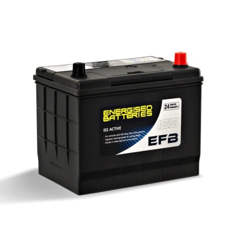 Energised EFB Battery DEL-EFBS95