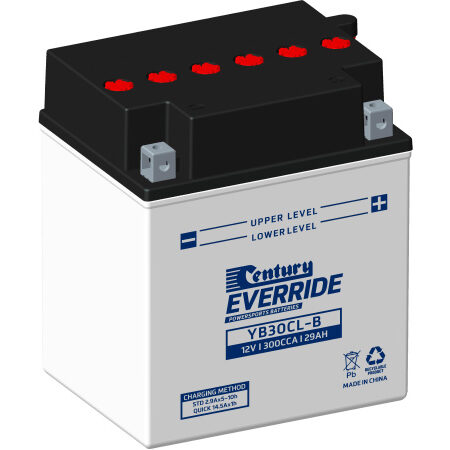 Century Motorcycle Conventional Battery YB30CL-B