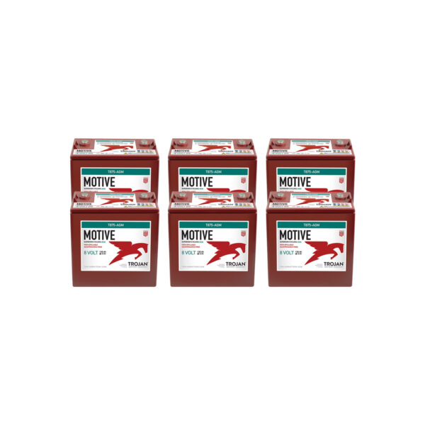 trojan-t875-agm-pro-set-of-6-48V-golf-cart-batteries