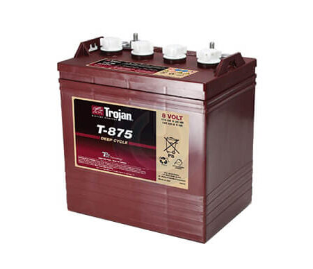 Trojan T875 8V Deep Cycle Wet Battery