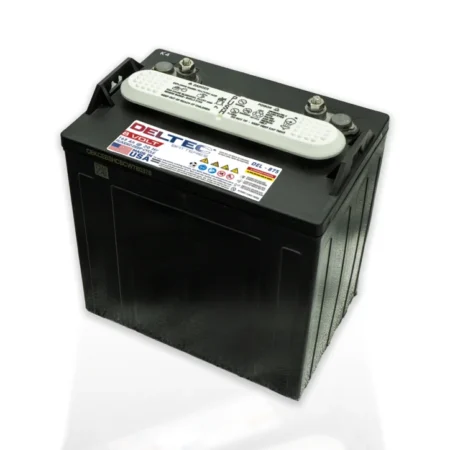 Deltec Golf Cart Batteries 48V (Set of 6 DEL-875)