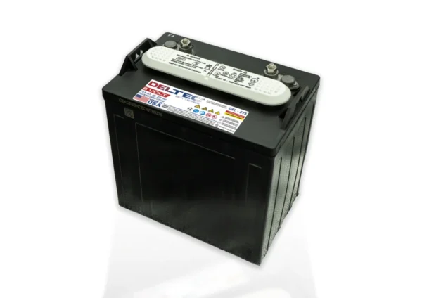 Deltec Deep Cycle Flooded Battery DEL-875 8V 165Ah