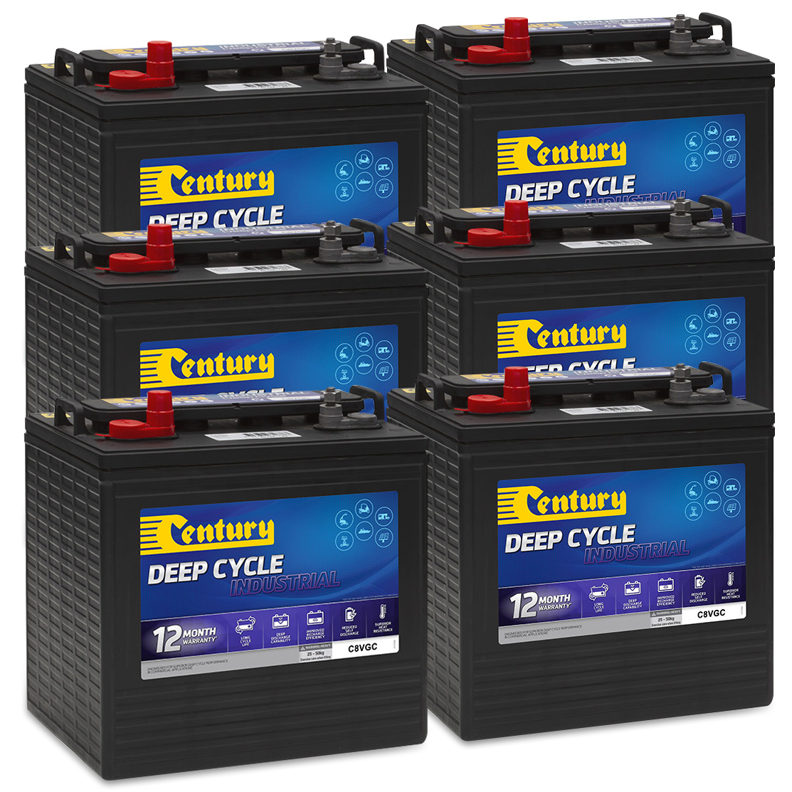 Century Set of 6 x C8VGC Golf Cart Batteries 48V